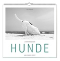 Cover: Der gro&szlig;e literarische Hunde Kalender 2027 - ars vivendi