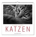 Cover: Der grosse literarische Katzen Kalender 2027 - ars vivendi