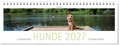 Cover: Tischkalender Hunde 2027 - ars vivendi
