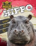 Cover: Hippopotamus (Hippo) - Redback Publishing
