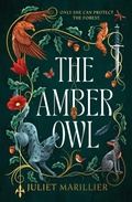 Cover: The Amber Owl: Volume 1 - Solaris