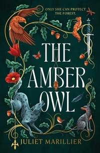 Enlarge image Cover: The Amber Owl: Volume 1 - Solaris