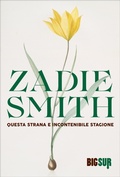 Cover: Questa strana e incontenibile stagione - Sur