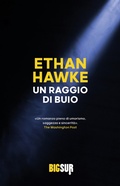 Cover: Un raggio di buio - Sur