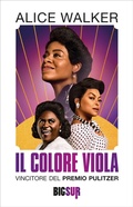 Cover: Il colore viola - Sur