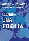 Cover: Come una foglia - Tlon