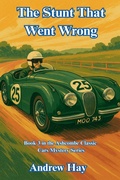 Cover: The Stunt That Went Wrong - Reading Lamp