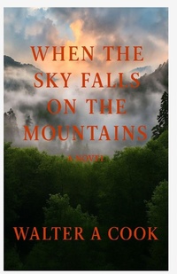 Enlarge image Cover: When the Sky Fell on the Mountain - Indy