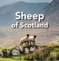 Cover: Sheep of Scotland - O'Brien Press Ltd