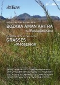 Cover: Field Guide of Common Grasses of Madagascar - Kew Publishing