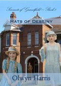 Cover: Hats of Destiny - Reading Stones Publishing