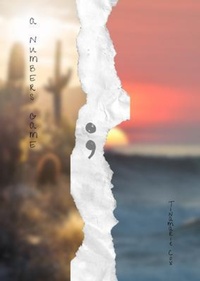 Enlarge image Cover: A Numbers Game - Nymeria Publishing