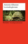 Cover: La strada giovane - Reclam