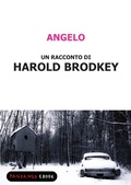 Cover: Angelo - Fandango Libri