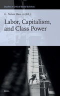 Cover: Labor, Capitalism, and Class Power - Brill