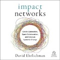 Cover: Impact Networks - Ascent Audio