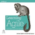Cover: Learning Agile - Ascent Audio