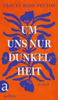 Cover: Um uns nur Dunkelheit - Aufbau