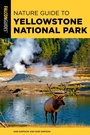 Cover: Nature Guide to Yellowstone National Park - Simon + Schuster LLC
