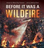 Cover: Before It Was a Wildfire (A Nonfiction Earth Science Picture Book with Double Gatefold for Kids) - Little Bee Books