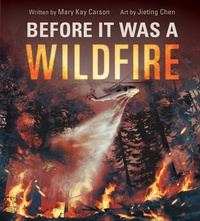 Enlarge image Cover: Before It Was a Wildfire (A Nonfiction Earth Science Picture Book with Double Gatefold for Kids) - Little Bee Books