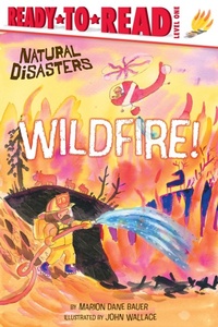 Enlarge image Cover: Wildfire! - Simon Spotlight
