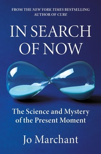 Enlarge image Cover: In Search of Now - Canongate Books
