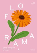 Cover: Florama - Helvetiq