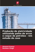 Cover: Producao de eletricidade utilizando palha de arroz e coque de petroleo - Um estudo de caso - Edicoes Nosso Conhecimento