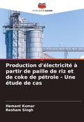 Cover: Production d'electricite a partir de paille de riz et de coke de petrole - Une etude de cas - Editions Notre Savoir