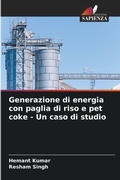 Cover: Generazione di energia con paglia di riso e pet coke - Un caso di studio - Edizioni Sapienza