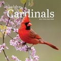 Cover: Audubon Cardinals Mini Wall Calendar 2027 - Workman Calenders