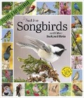 Cover: Audubon Songbirds and Other Backyard Birds Picture-A-Day (R) Wall Calendar 2027 - Workman Calenders