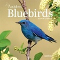 Cover: Audubon Bluebirds Mini Wall Calendar 2027 - Workman Calenders