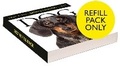 Cover: Dog Page-A-Day (R) Gallery Calendar Refill Pack 2027 - Workman Calenders