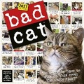 Cover: Bad Cat Wall Calendar 2027 - Workman Calenders
