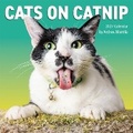 Cover: Cats on Catnip Wall Calendar 2027 - Workman Calenders