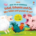 Cover: Mein Pop-up-Soundbuch: Schaf, Schwein und Co. - Wer bl&ouml;kt und grunzt da so? - Usborne