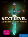 Cover: The Next Level - Rheinwerk