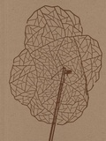 Cover: Alois Schild - Verlag f&uuml;r Moderne Kunst