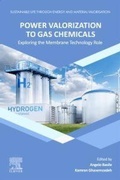 Cover: Power Valorization to Gas Chemicals - Elsevier