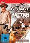 Cover: Gejagt und in Ketten gelegt - Pidax Film