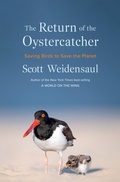 Cover: Return of the Oystercatcher - W. W. Norton & Company
