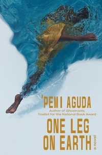 Enlarge image Cover: One Leg on Earth - W. W. Norton & Company