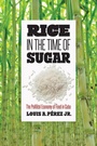 Cover: Rice in the Time of Sugar - The University of North Carolina Press