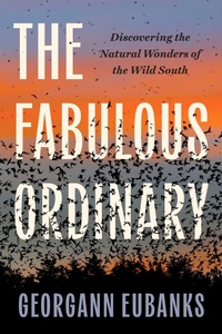 Abbildung von: The Fabulous Ordinary - The University of North Carolina Press