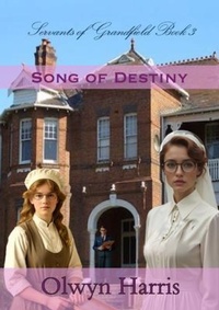 Enlarge image Cover: Song of Destiny - Reading Stones Publishing