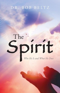 Enlarge image Cover: The Spirit - Illumify Media