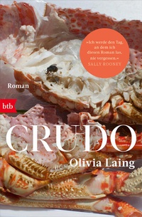 Enlarge image Cover: Crudo - btb