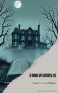 Cover: A Book of Ghosts: 18 - Zenith Starlight Media